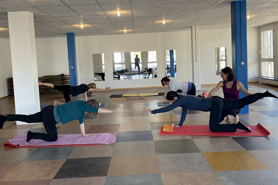 Bild Faszientraining